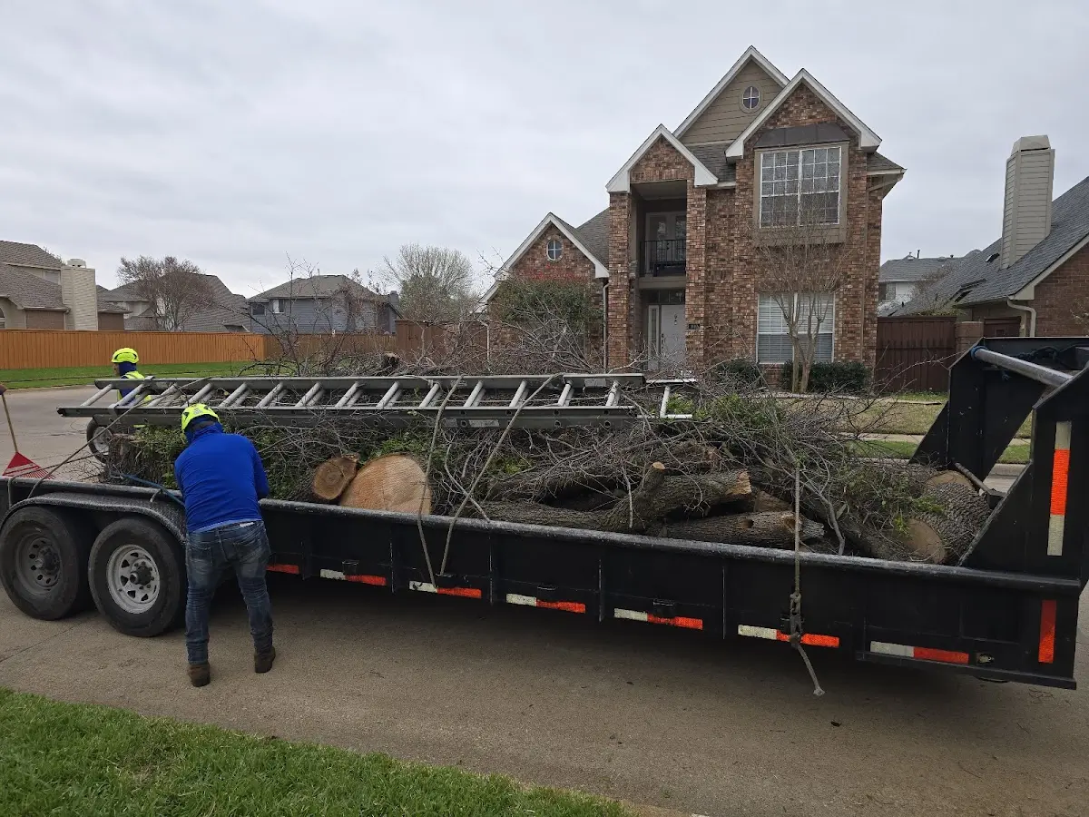 Expert Crown Reduction with proper safety equipment in Spindale